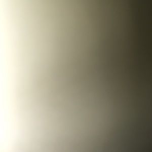 Meet your Posher, Noah