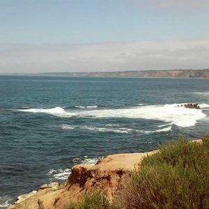 Meet your Posher, Susie