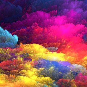 Meet your Posher, Ally