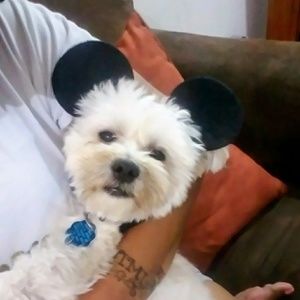 Meet your Posher, Ebony