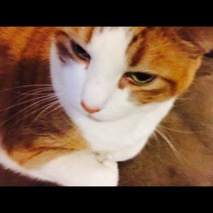 Meet your Posher, Jada