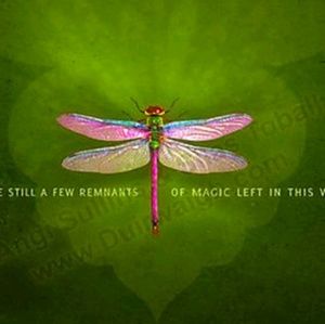 Meet your Posher, Veronica