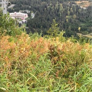 Meet your Posher, Bobby