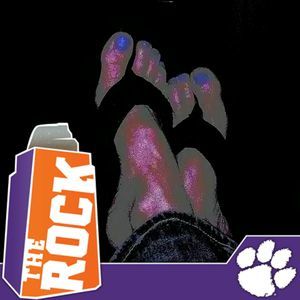 Meet your Posher, Rae