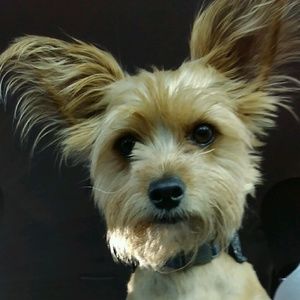 Meet your Posher, Elizabeth