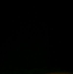 Meet your Posher, Demontae