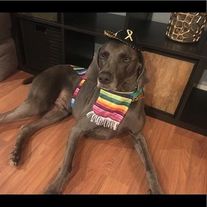 Meet your Posher, Laura