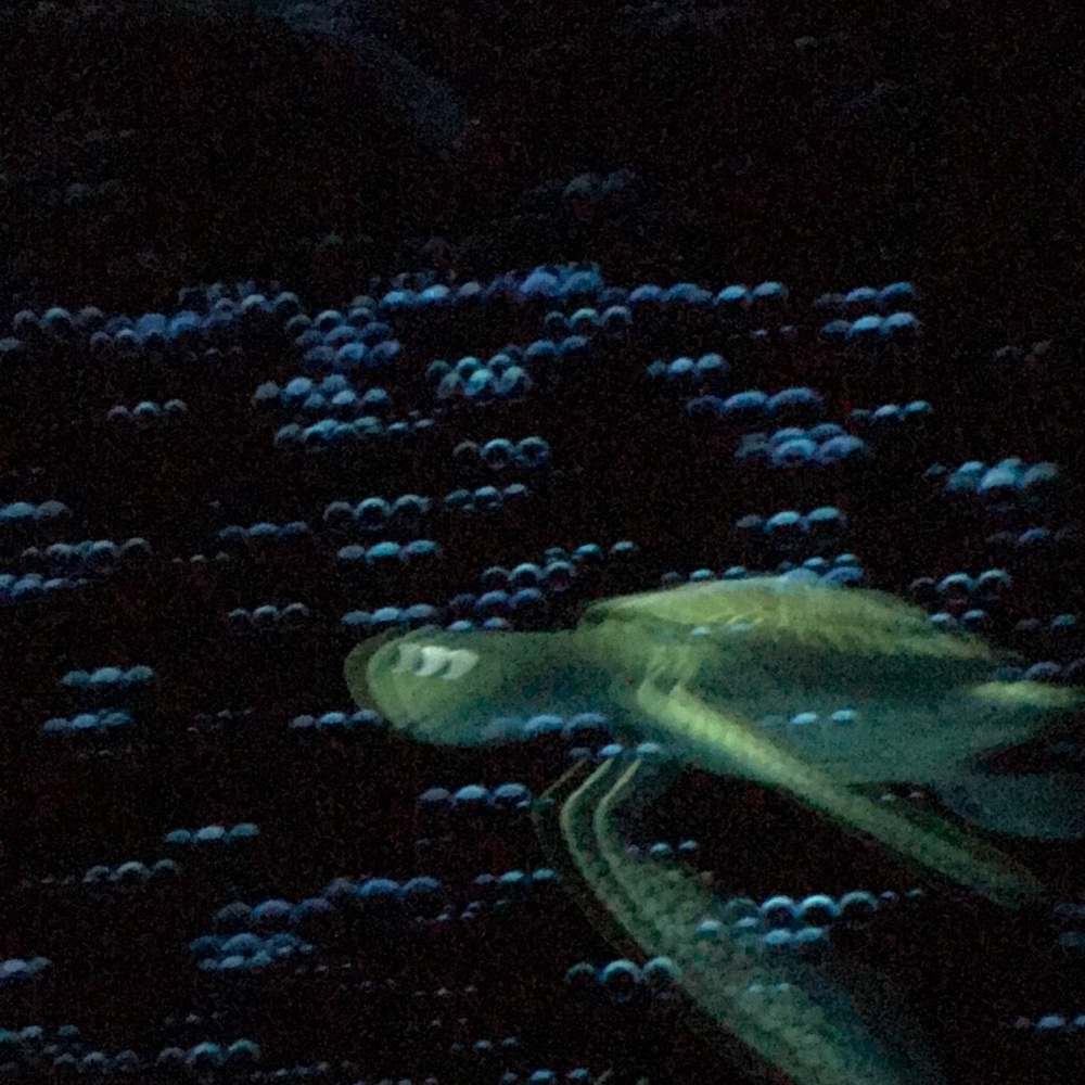 Meet your Posher, Terry