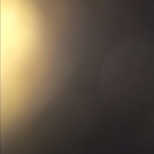 Meet your Posher, Devin