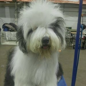 Meet your Posher, Sandy