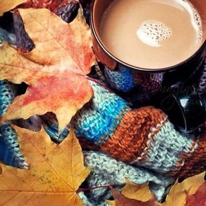 Meet your Posher, Tori