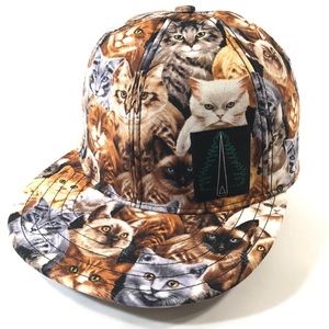 Home is Where Your Cat is 6 Panel Hat