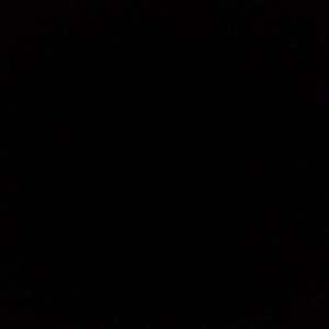 Meet your Posher, Masibonge