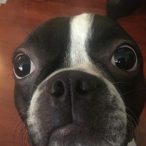 Meet your Posher, Mao