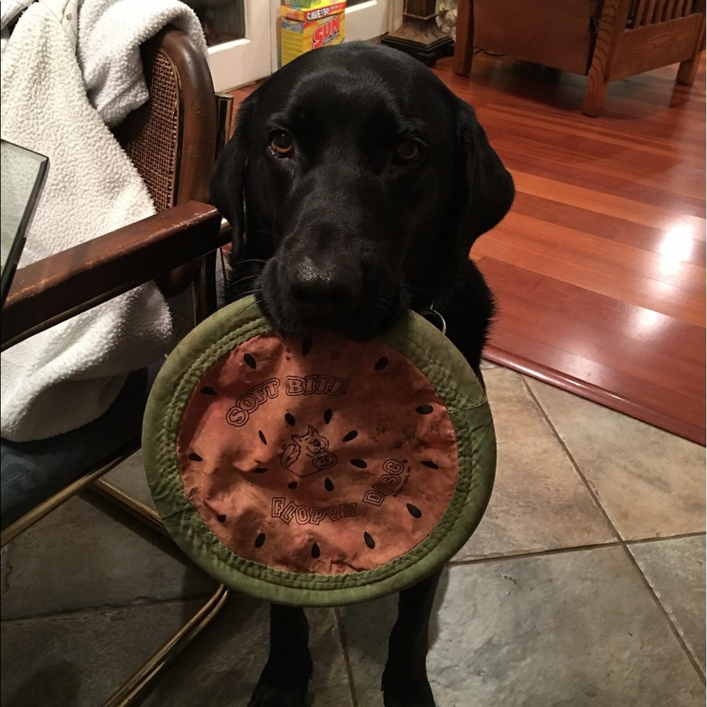 Meet your Posher, Spencer