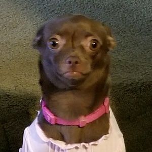 Meet your Posher, Cynthia