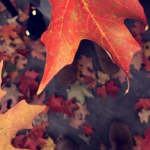 Meet your Posher, Emma