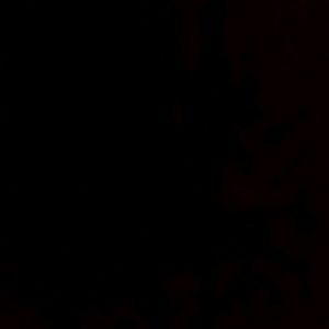 Meet your Posher, Kerra