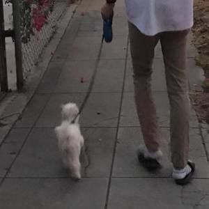 Meet your Posher, Jasmine