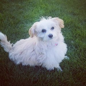 Meet your Posher, Bobbi