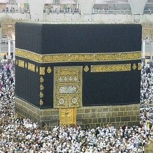 Meet your Posher, Mobeena