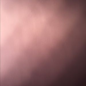 Meet your Posher, Rose