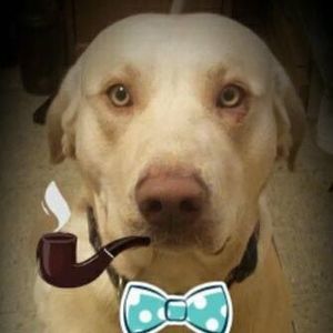 Meet your Posher, Renee