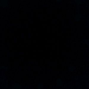 Meet your Posher, Julian