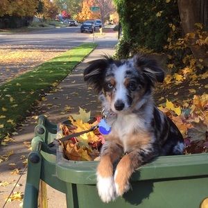 Meet your Posher, Madalyn