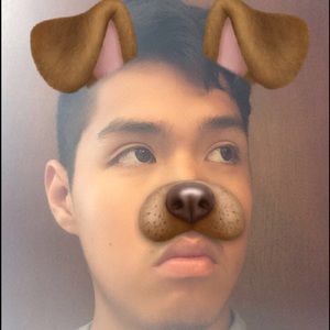 Meet your Posher, Frank