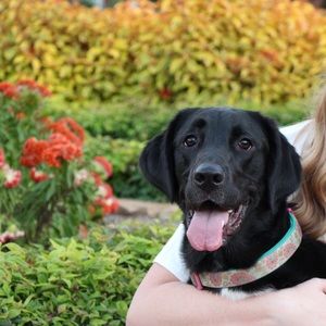 Meet your Posher, Raegan