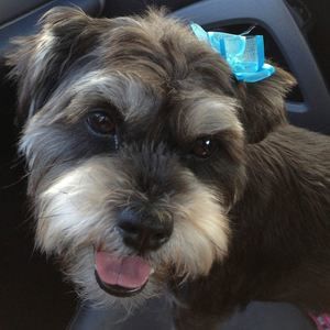 Meet your Posher, Deena