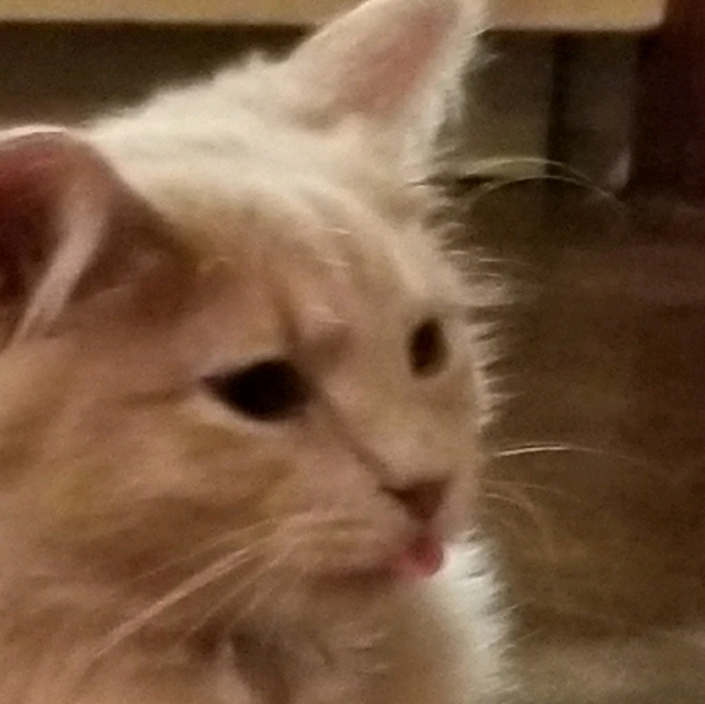 Meet your Posher, Brenda