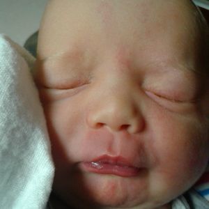 Meet your Posher, Teddy