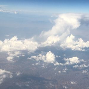 Meet your Posher, Braxton