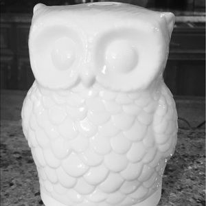 Meet your Posher, Molly