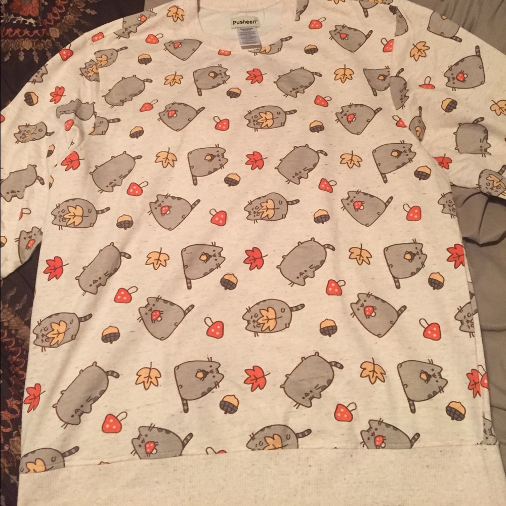 Pusheen Fall Box Sweatshirt