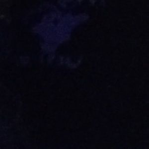 Meet your Posher, Caitlin