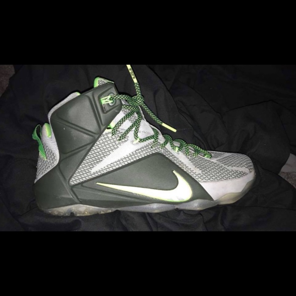 Lebron 12s