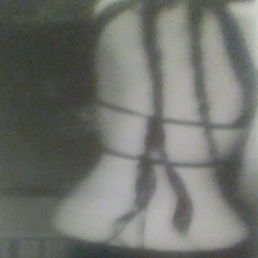 Meet your Posher, Anne