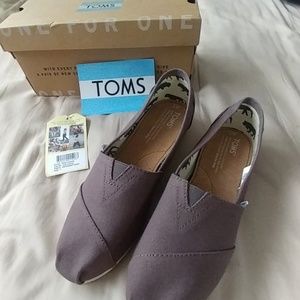 TOMS Ash Canvans Classics