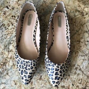 Leather Pointed Flat Leopard Brass Studs Size 9