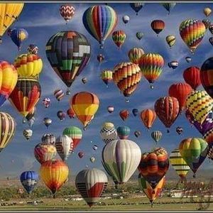 Meet your Posher, Bill