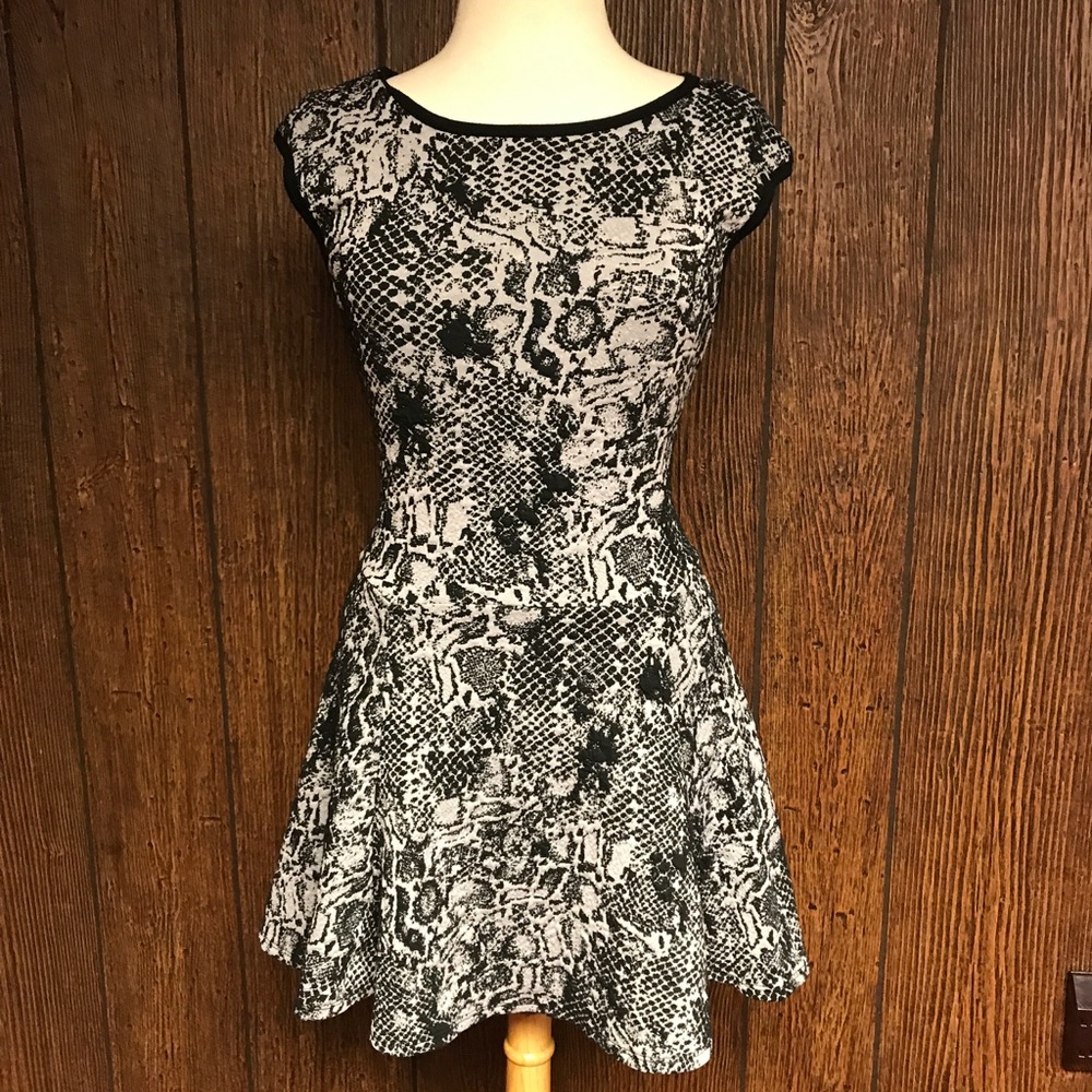 Snake Print Dress