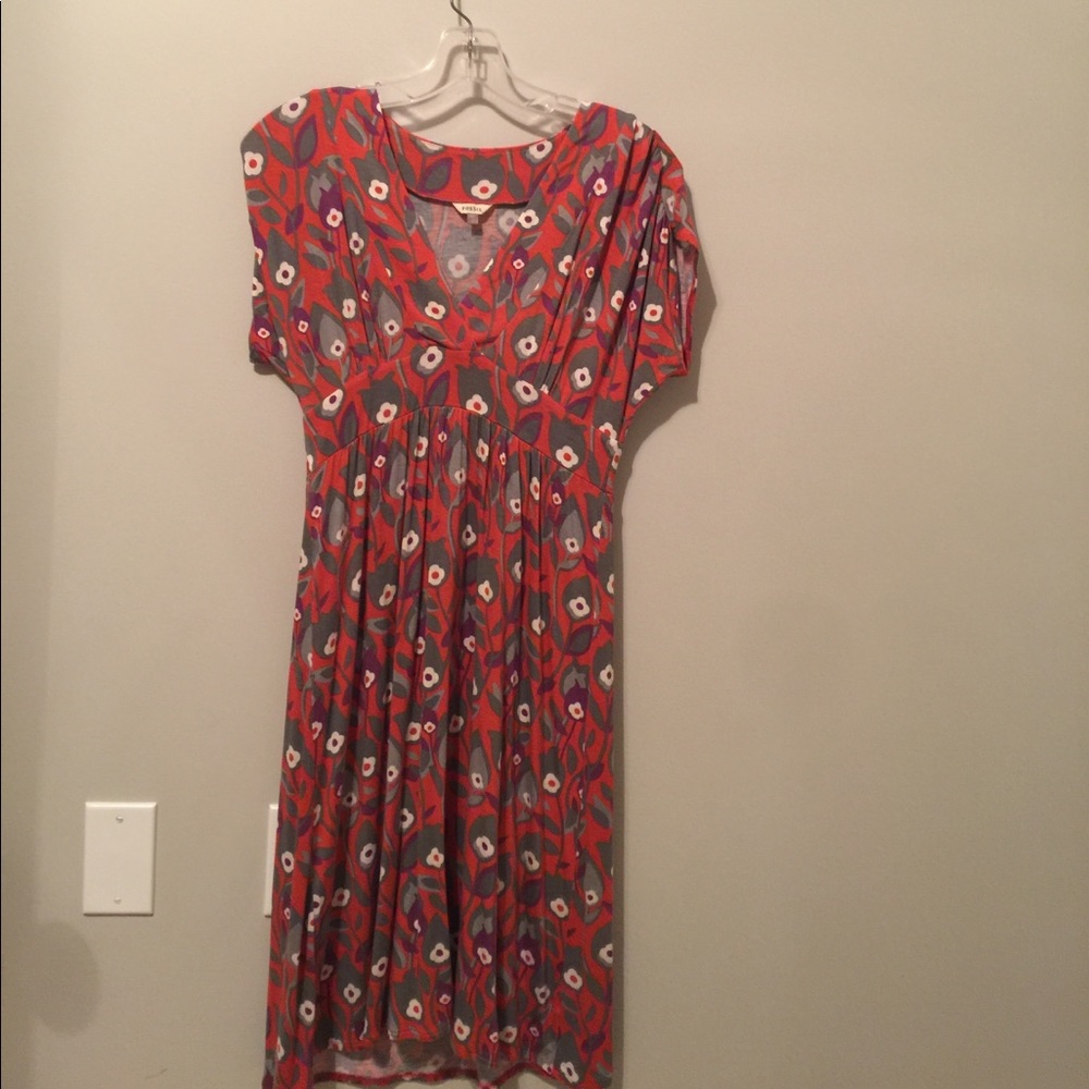 Fossil Dress