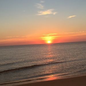 Meet your Posher, Joey