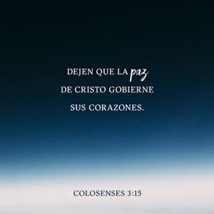 Meet your Posher, Aida