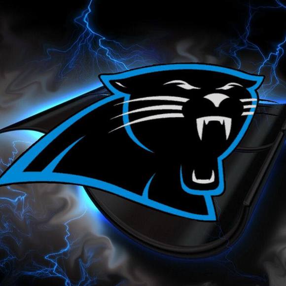 Meet your Posher, Bobbie - Picture 1 of 1