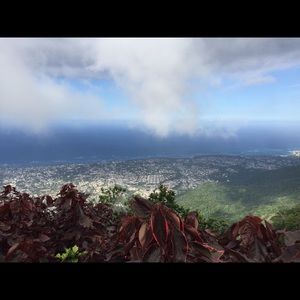 Meet your Posher, Brae