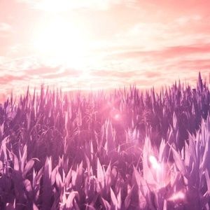 Meet your Posher, Brittney